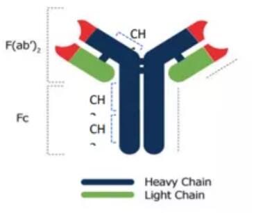 1641542357406349.jpg 2.jpg