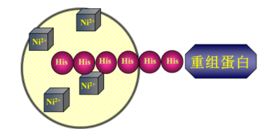 1657087926207757.png 微信截图_20220706141126.png