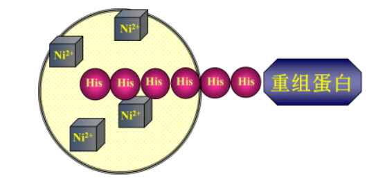 1661240505114206.png 微信截图_20220823154056.png