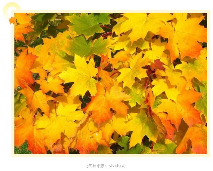 1697505322537318.jpg 1.jpg