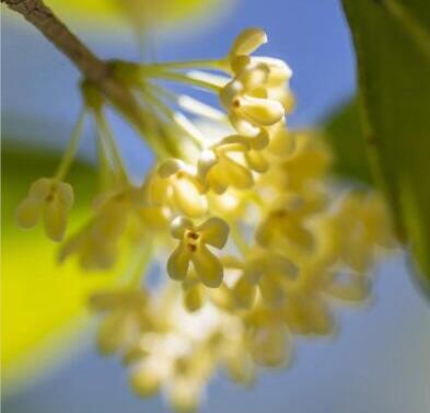 1697505703322839.jpg 2.jpg